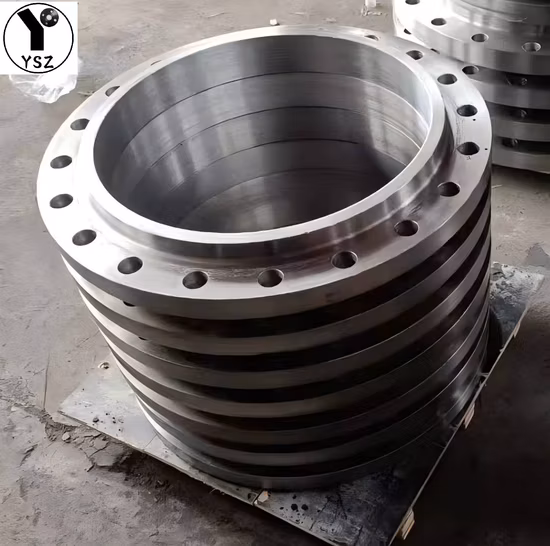 ANSI 304 304L 316 316L ステンレス鋼鍛造 RF ブラインド フランジ